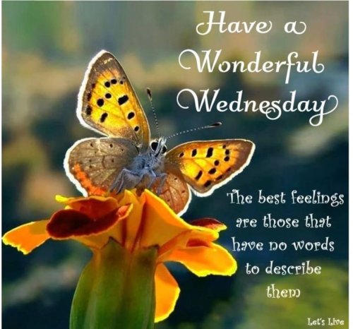 Photo post from Grangewood Care Home.