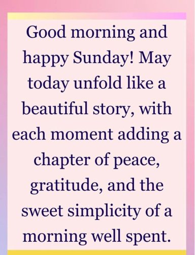 Photo post from Haven Lodge care home.
