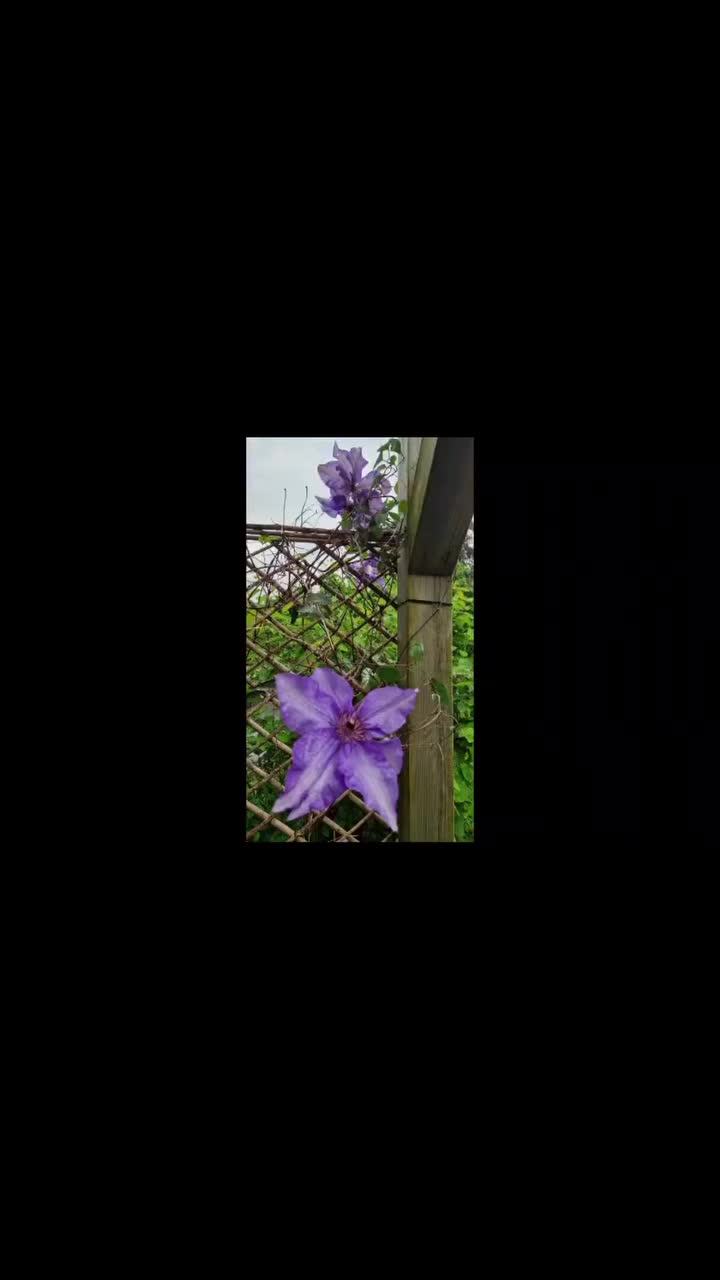 PostPhoto