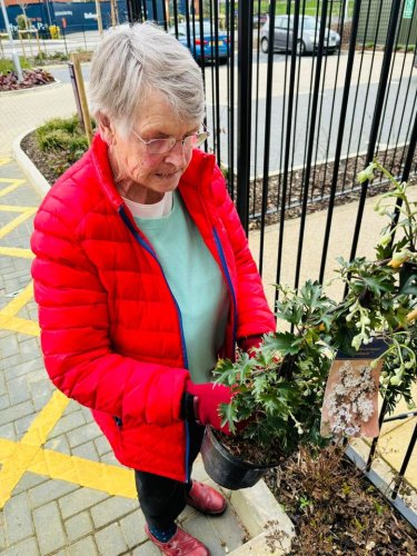 Carousel post from Cuttlebrook Hall Care Home.