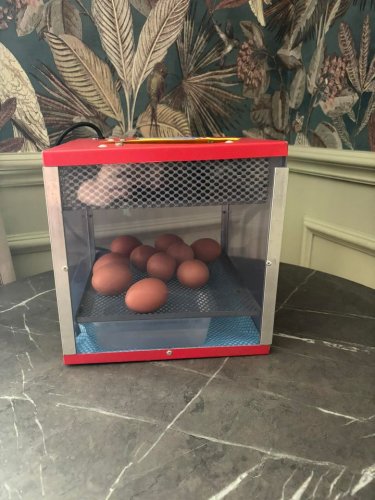 Photo post from Cuttlebrook Hall Care Home.