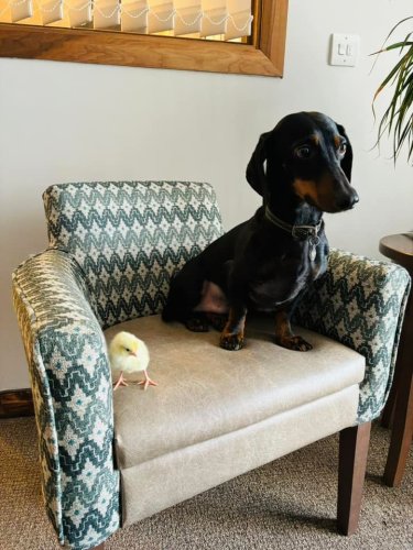 Photo post from Cuttlebrook Hall Care Home.