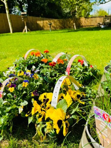 Carousel post from Cuttlebrook Hall Care Home.