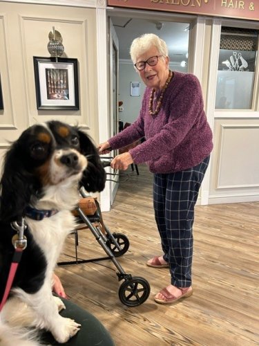 Photo post from Cuttlebrook Hall Care Home.