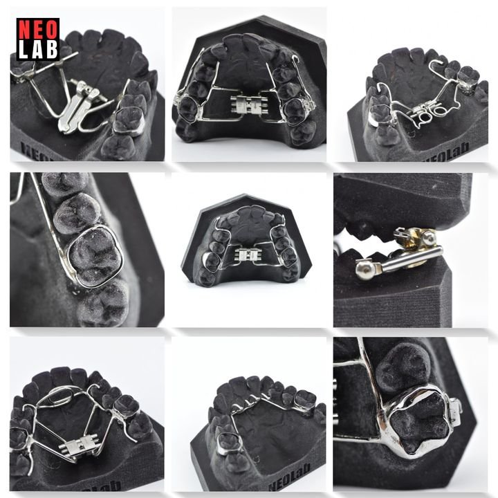 New England Orthodontic Laboratory