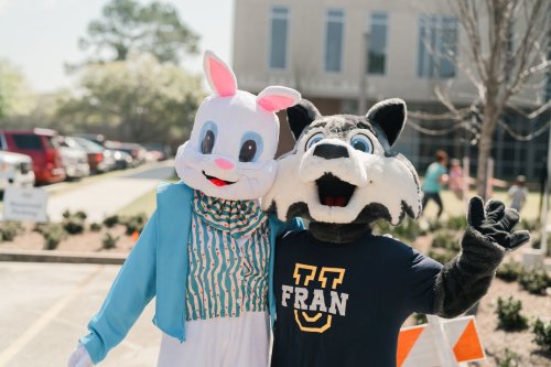 Carousel post from Franciscan Missionaries of Our Lady University.