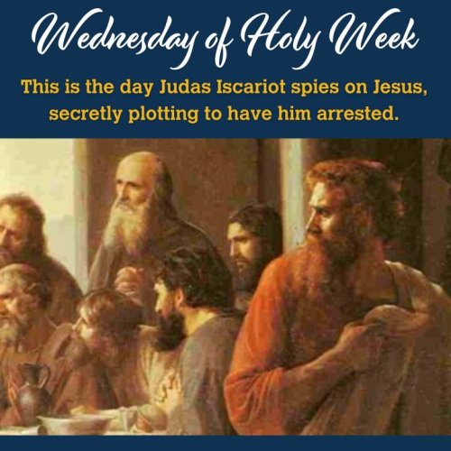 Carousel post from Franciscan Missionaries of Our Lady University.