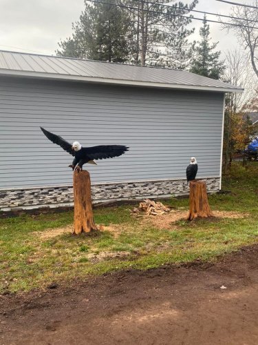 Carousel post from I Saw It in Mn, Llc.