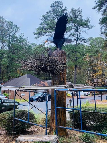 Carousel post from I Saw It in Mn, Llc.