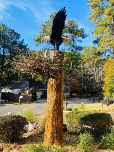 Carousel post from I Saw It in Mn, Llc.