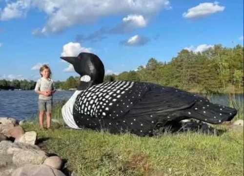 Carousel post from I Saw It in Mn, Llc.