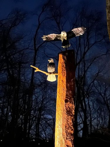 Carousel post from I Saw It in Mn, Llc.