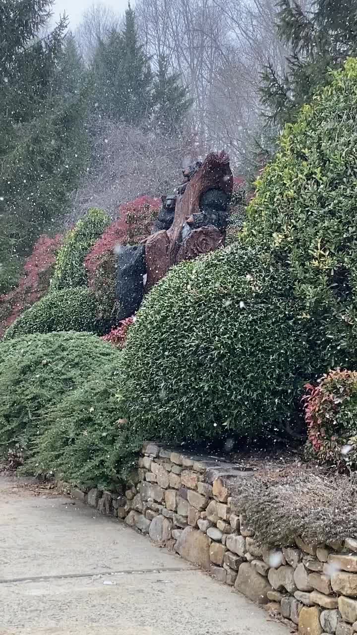 Video post from I Saw It in Mn, Llc.