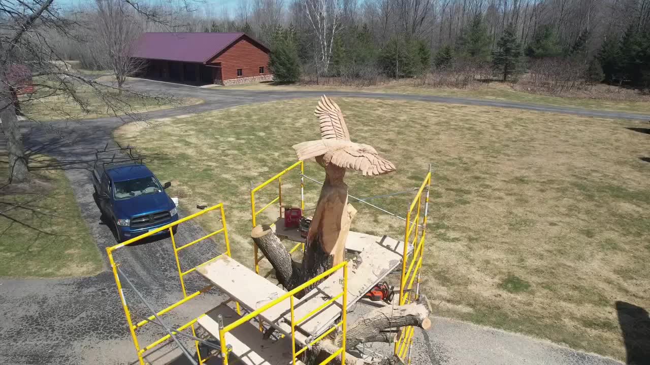 Video post from I Saw It in Mn, Llc.