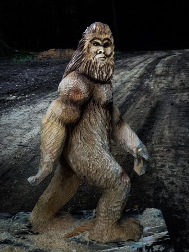 Carousel post from I Saw It in Mn, Llc.