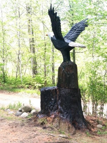 Photo post from I Saw It in Mn, Llc.