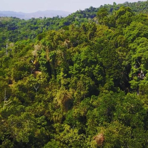 Photo post from Chiclets Zipline.