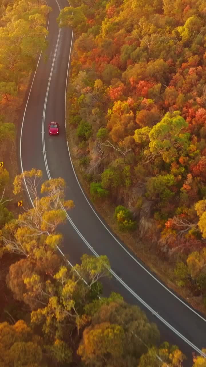 Video post from Liverpool Mazda.