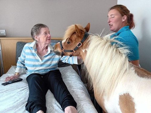 Carousel post from Collingwood Court care home.
