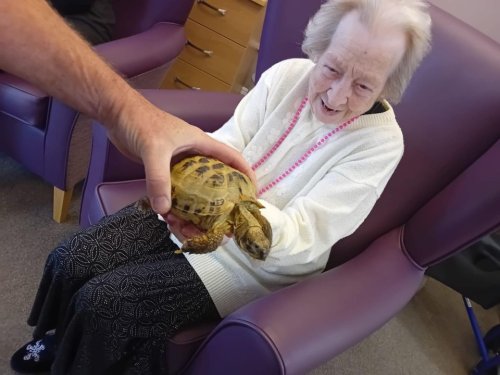 Carousel post from Collingwood Court care home.