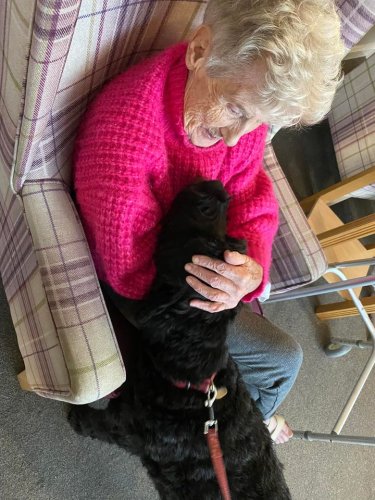 Carousel post from Collingwood Court care home.