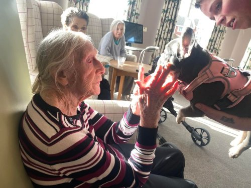 Carousel post from Collingwood Court care home.