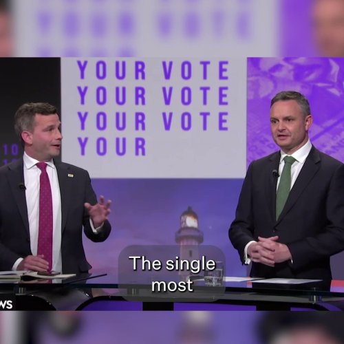 Photo post from @NZGreens.