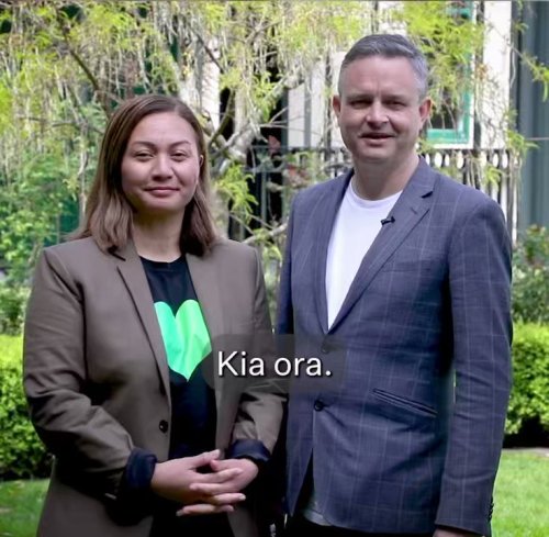 Photo post from @NZGreens.
