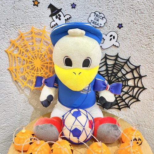 Photo post from @dermed_jp.