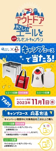 Carousel post from @elleairofficial.