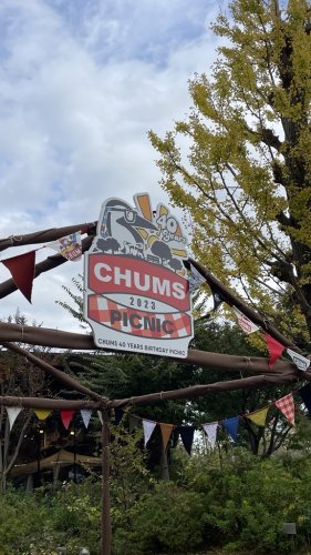 Carousel post from @elleairofficial.