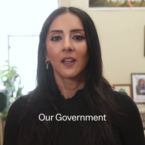 Photo post from @NZGreens.