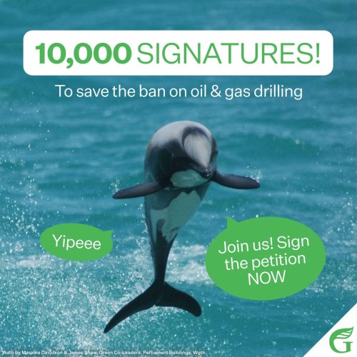 Photo post from @NZGreens.