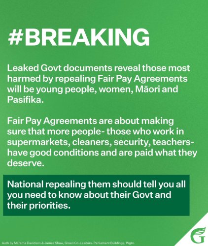 Photo post from @NZGreens.