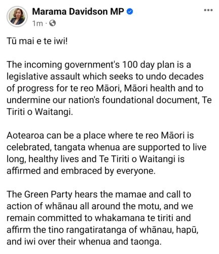 Photo post from @NZGreens.