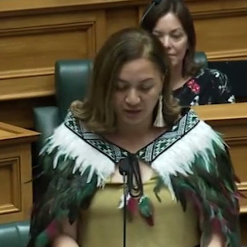 Photo post from @NZGreens.