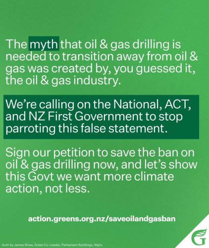 Photo post from @NZGreens.