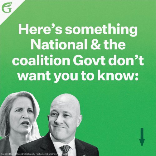 Photo post from @NZGreens.