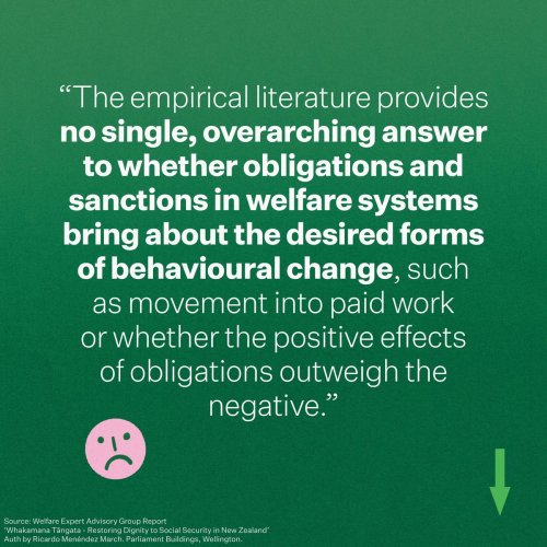 Photo post from @NZGreens.