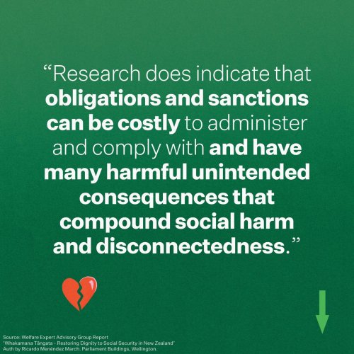 Photo post from @NZGreens.