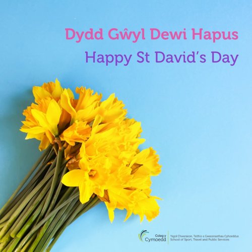 Photo post from @CymoeddSport.