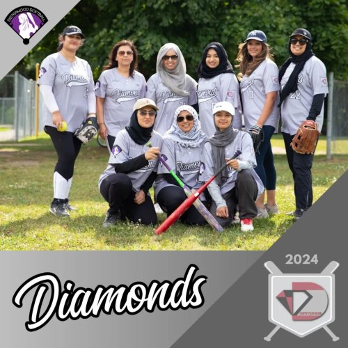 Carousel post from sisterhoodsoftball.