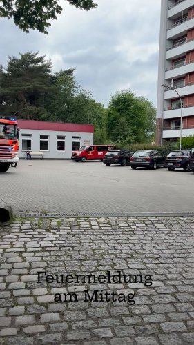 Video post from ff_stellingen.