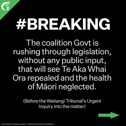 Carousel post from nzgreenparty.