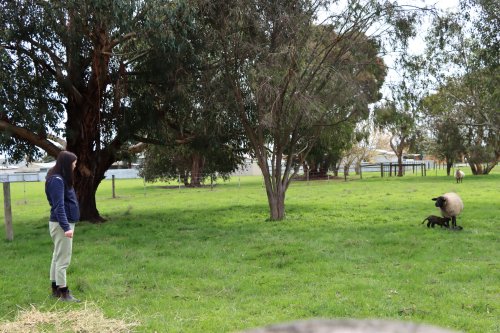 Carousel post from trinitycollegecolac.