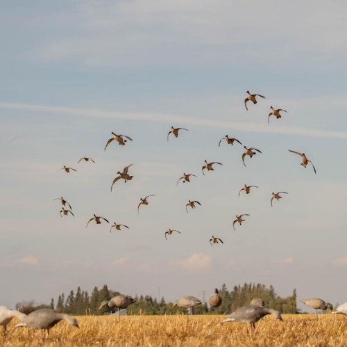 Photo post from northernskiesoutfitters.