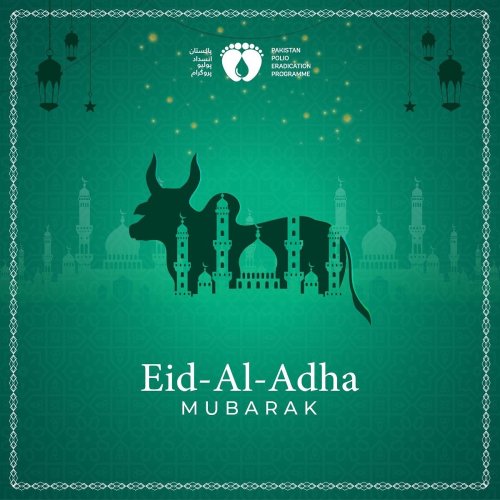 Photo post from pakfightspolio.