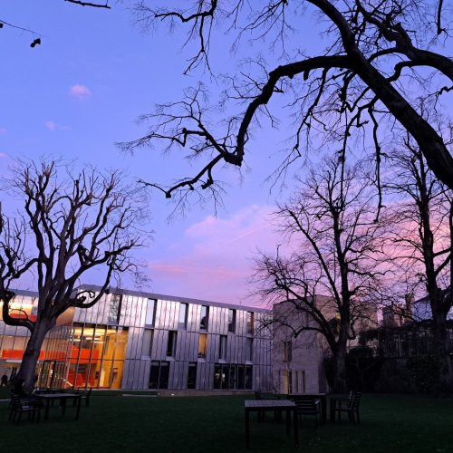Photo post from wadhamoxford.