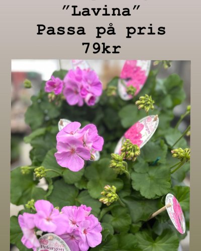 PostPhoto