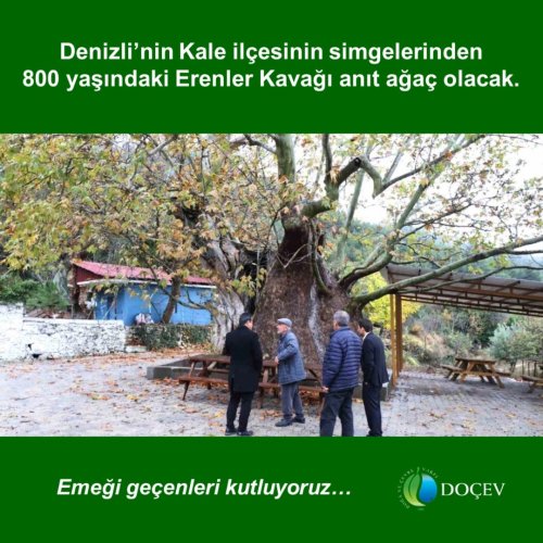 Photo post from dogavecevrevakfi.